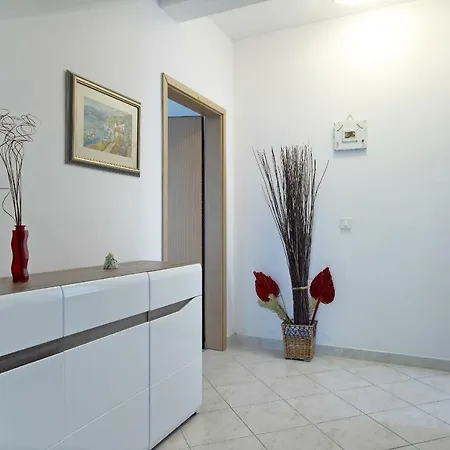 Vukosav Family And 4*