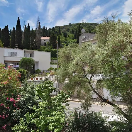 게스트하우스 Vukosav Family And 4*