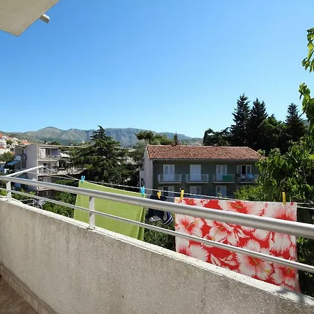 Vukosav Family And 4*